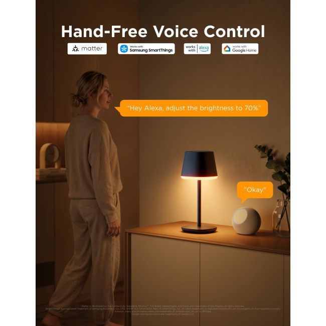 Govee Table Lamp Classic
