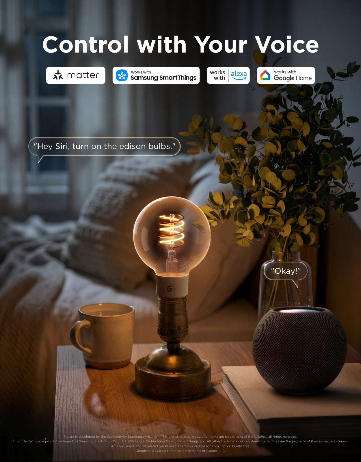 Govee E27 Smart Edison G80 Bulb 500lm 2-Pack