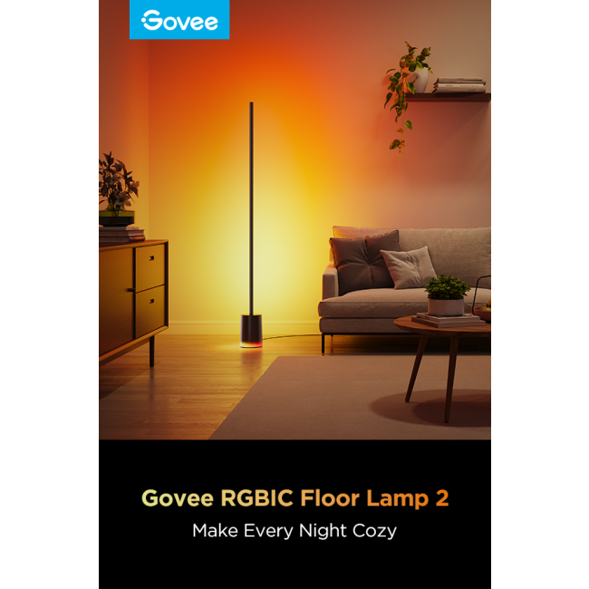 Govee Floor Lamp 2