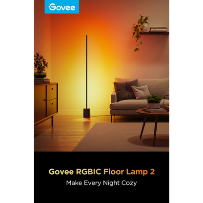 Govee Floor Lamp 2