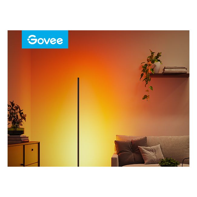 Govee Floor Lamp 2