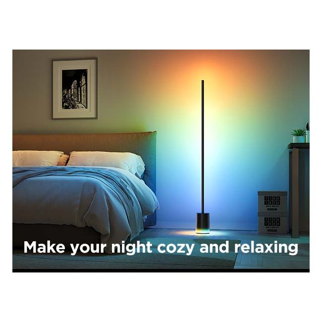 Govee Floor Lamp 2