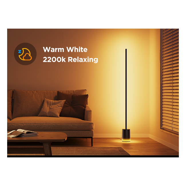 Govee Floor Lamp 2