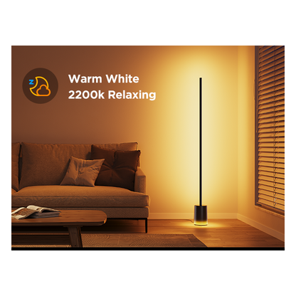 Govee Floor Lamp 2
