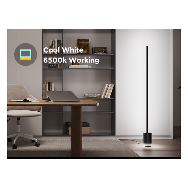 Govee Floor Lamp 2