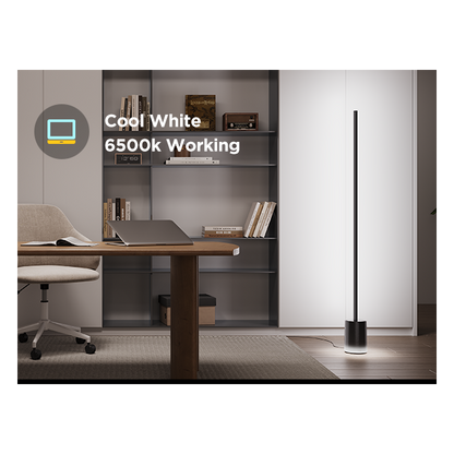Govee Floor Lamp 2