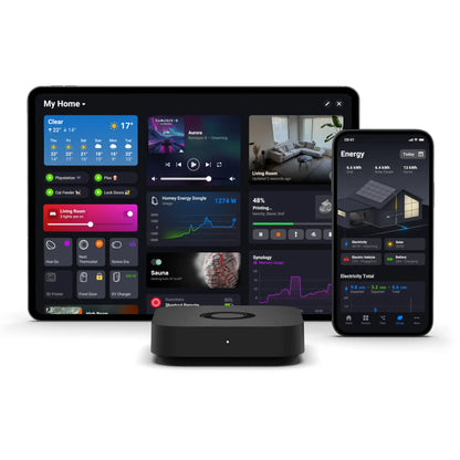 Homey Pro mini