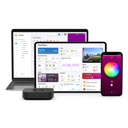 Homey Pro mini