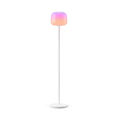 Govee Lantern Floor Lamp