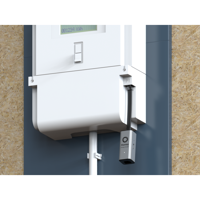 Homey Energy Dongle P1