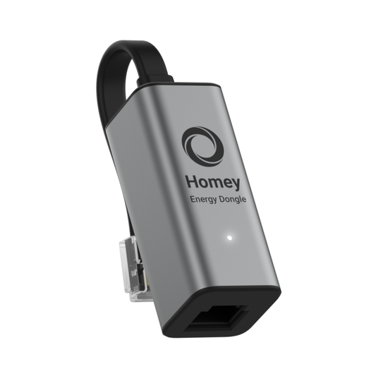 Homey Energy Dongle P1