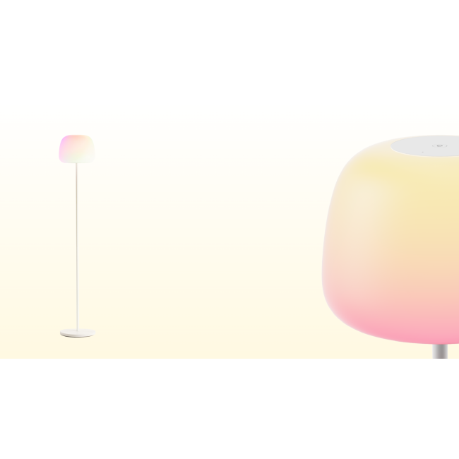 Govee Lantern Floor Lamp