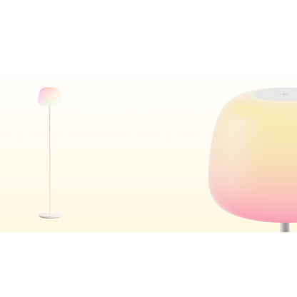 Govee Lantern Floor Lamp