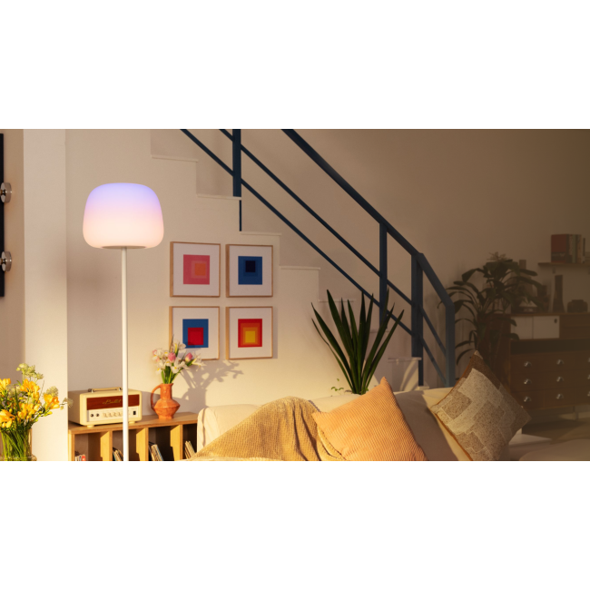 Govee Lantern Floor Lamp
