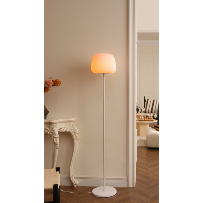 Govee Lantern Floor Lamp