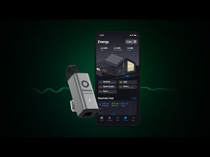Homey Energy Dongle P1